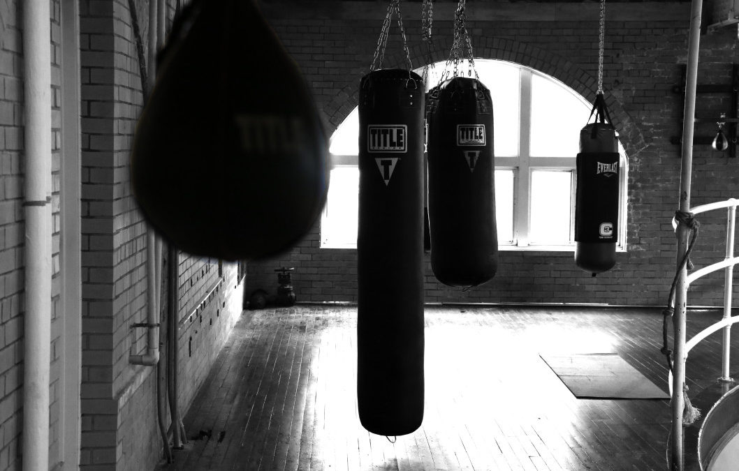 various types of punching bags hanging in a gym